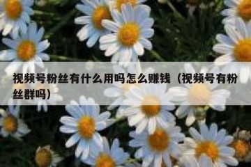 视频号粉丝有什么用吗怎么赚钱（视频号有粉丝群吗）