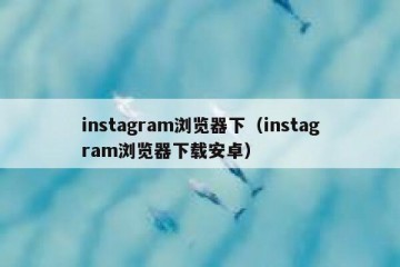instagram浏览器下（instagram浏览器下载安卓）