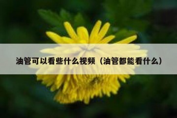 油管可以看些什么视频（油管都能看什么）