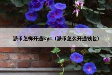 派币怎样开通kyc（派币怎么开通钱包）