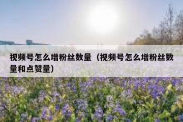视频号怎么增粉丝数量（视频号怎么增粉丝数量和点赞量）