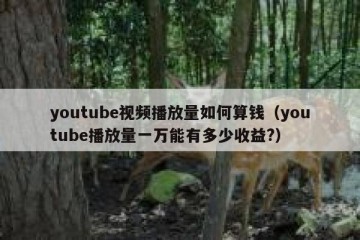 youtube视频播放量如何算钱（youtube播放量一万能有多少收益?）