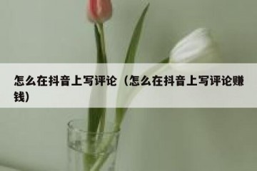 怎么在抖音上写评论（怎么在抖音上写评论赚钱）