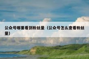 公众号哪里看到粉丝量（公众号怎么查看粉丝量）