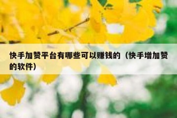 快手加赞平台有哪些可以赚钱的（快手增加赞的软件）