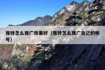 推特怎么推广效果好（推特怎么推广自己的帐号）