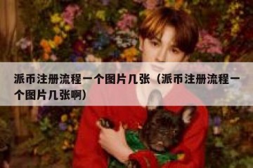 派币注册流程一个图片几张（派币注册流程一个图片几张啊）