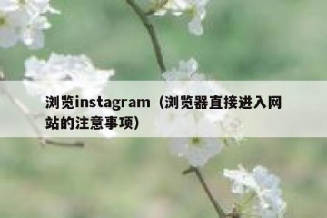浏览instagram（浏览器直接进入网站的注意事项）