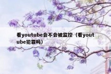 看youtube会不会被监控（看youtube犯罪吗）