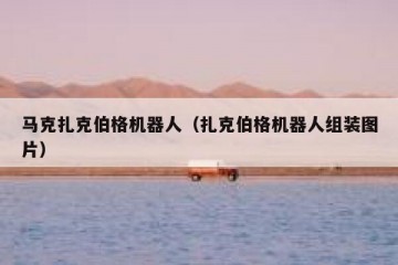 马克扎克伯格机器人（扎克伯格机器人组装图片）