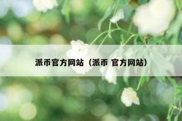 派币官方网站（派币 官方网站）