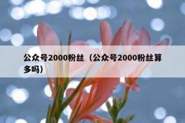 公众号2000粉丝（公众号2000粉丝算多吗）