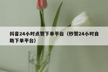 抖音24小时点赞下单平台（秒赞24小时自助下单平台）