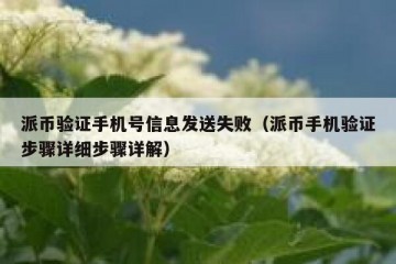 派币验证手机号信息发送失败（派币手机验证步骤详细步骤详解）
