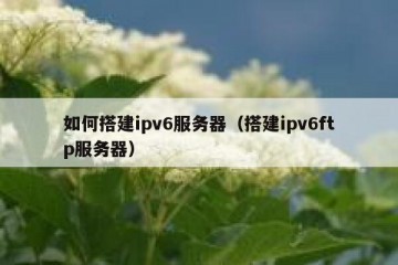 如何搭建ipv6服务器（搭建ipv6ftp服务器）