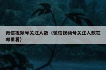 微信视频号关注人数（微信视频号关注人数在哪里看）