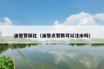 油管赞踩比（油管点赞数可以注水吗）