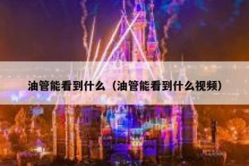 油管能看到什么（油管能看到什么视频）