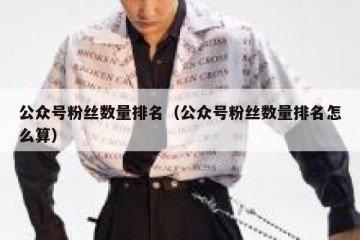 公众号粉丝数量排名（公众号粉丝数量排名怎么算）