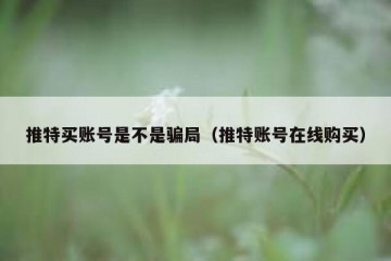 推特买账号是不是骗局（推特账号在线购买）