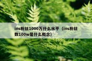 ins粉丝1000万什么水平（ins粉丝数100w是什么概念）