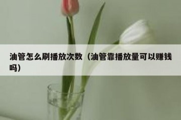 油管怎么刷播放次数（油管靠播放量可以赚钱吗）