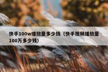 快手100w播放量多少钱（快手视频播放量100万多少钱）