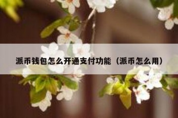 派币钱包怎么开通支付功能（派币怎么用）