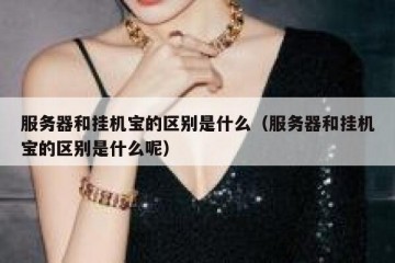服务器和挂机宝的区别是什么（服务器和挂机宝的区别是什么呢）