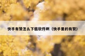 快手有赞怎么下载软件啊（快手里的有赞）