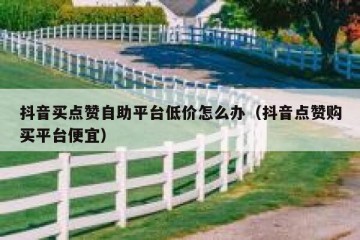 抖音买点赞自助平台低价怎么办（抖音点赞购买平台便宜）