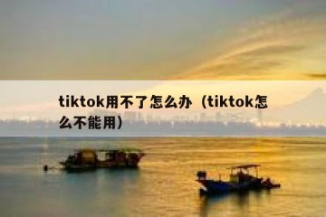 tiktok用不了怎么办（tiktok怎么不能用）