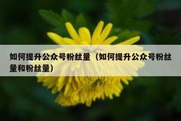 如何提升公众号粉丝量（如何提升公众号粉丝量和粉丝量）