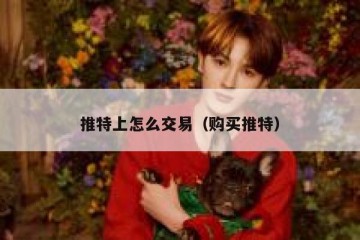 推特上怎么交易（购买推特）
