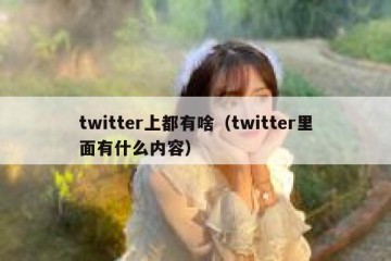 twitter上都有啥（twitter里面有什么内容）