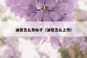油管怎么发帖子（油管怎么上传）