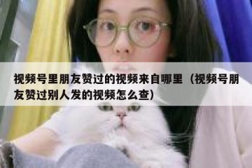 视频号里朋友赞过的视频来自哪里（视频号朋友赞过别人发的视频怎么查）