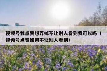 视频号我点赞想弄掉不让别人看到我可以吗（视频号点赞如何不让别人看到）