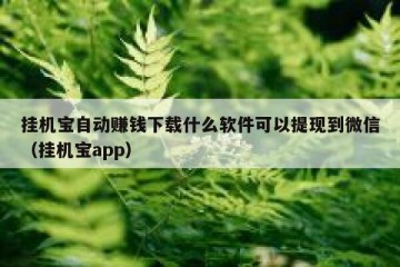 挂机宝自动赚钱下载什么软件可以提现到微信（挂机宝app）