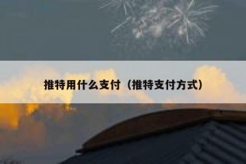 推特用什么支付（推特支付方式）