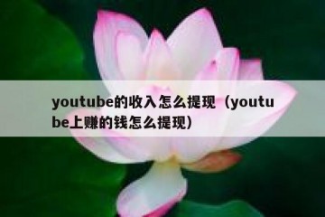 youtube的收入怎么提现（youtube上赚的钱怎么提现）