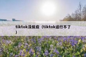 tiktok没反应（tiktok运行不了）