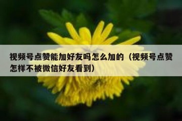 视频号点赞能加好友吗怎么加的（视频号点赞怎样不被微信好友看到）