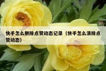 快手怎么删除点赞动态记录（快手怎么清除点赞动态）