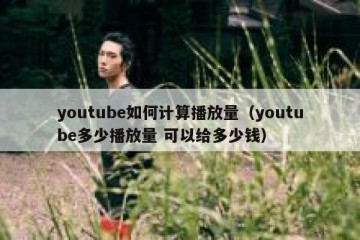 youtube如何计算播放量（youtube多少播放量 可以给多少钱）