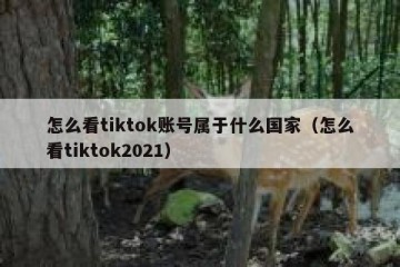 怎么看tiktok账号属于什么国家（怎么看tiktok2021）