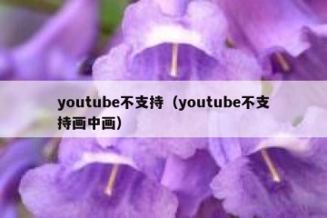 youtube不支持（youtube不支持画中画）