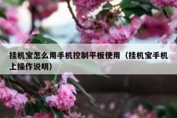 挂机宝怎么用手机控制平板使用（挂机宝手机上操作说明）