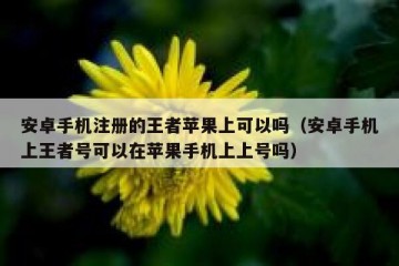 安卓手机注册的王者苹果上可以吗（安卓手机上王者号可以在苹果手机上上号吗）