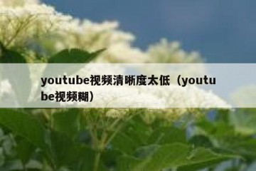 youtube视频清晰度太低（youtube视频糊）